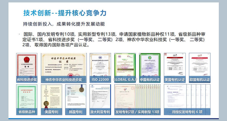 图片5